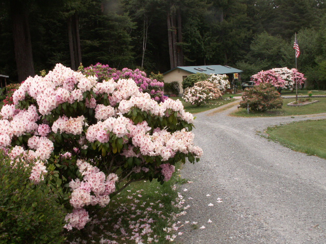 Spring_2008_003