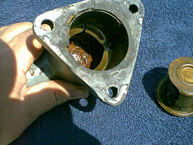 Thermo_liner_2