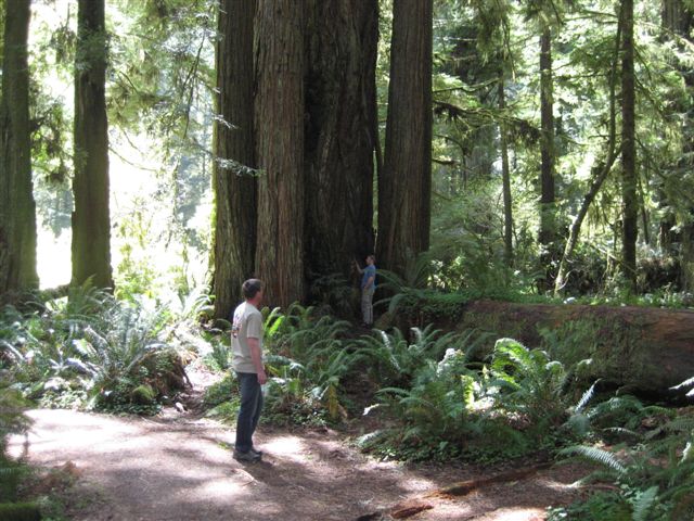 USA_2010_014