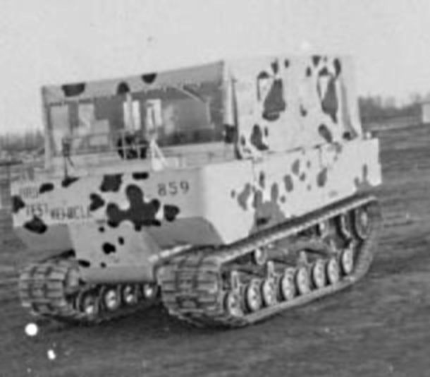 Weasel with 'Mickey Mouse' camouflage scheme