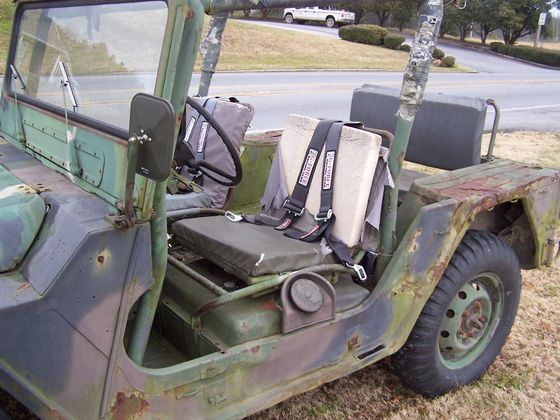 Georgia Auction Mutt 2/20/2010