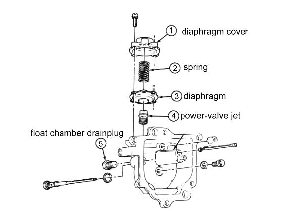 diaphragm2