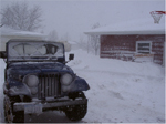 jeep_avatar_copy