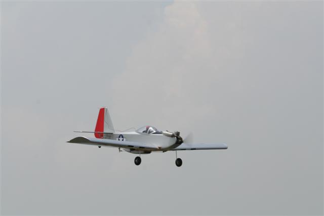 Lazy tiger in flight