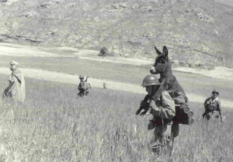 Soldier with a donkey