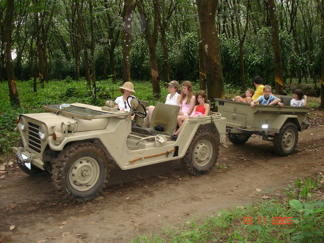 Los Ujuxtes rubber plantation