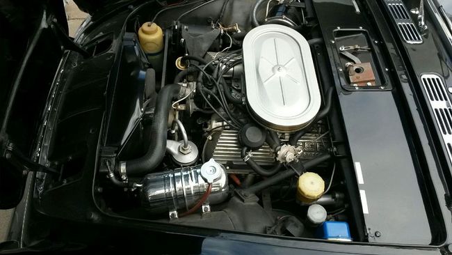 65 Tiger