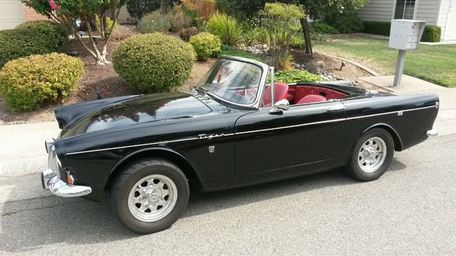65 Tiger