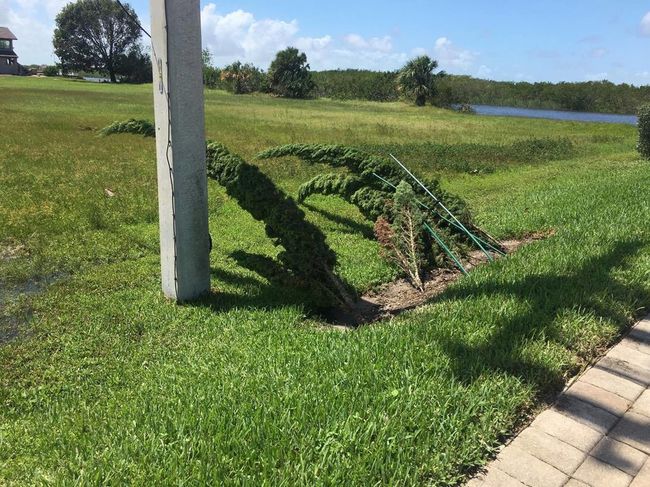 2017 Irma Damage