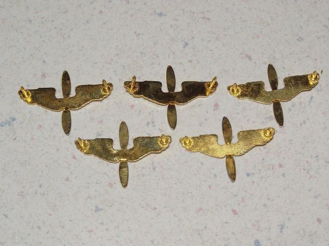 AAF_Insignia_02