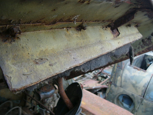 CANUM1B7