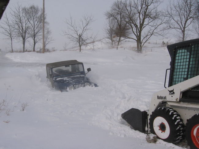 CJ_5_75_n_bobcat_in_snow