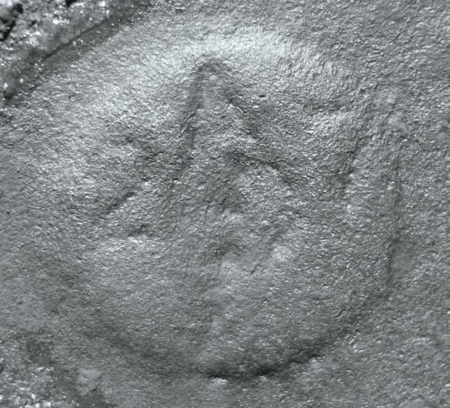 Casting_Stamp