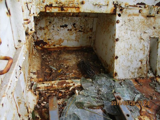 Clean_Out_19_