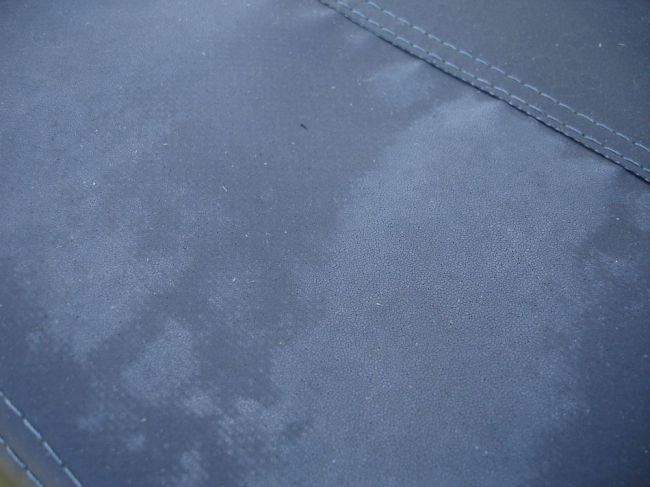 DSC06981