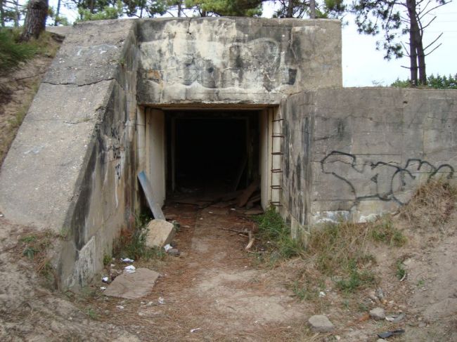 DSC07051