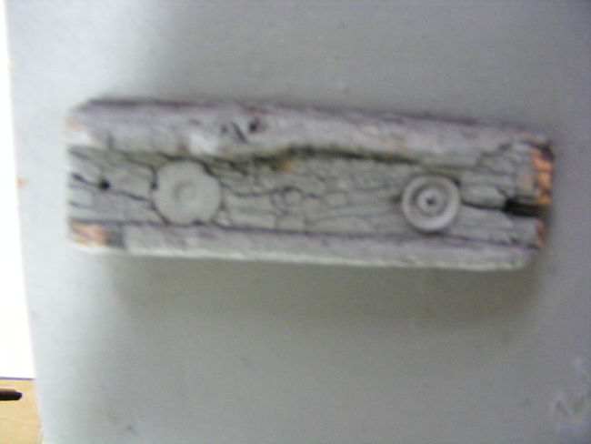 DSCF6529