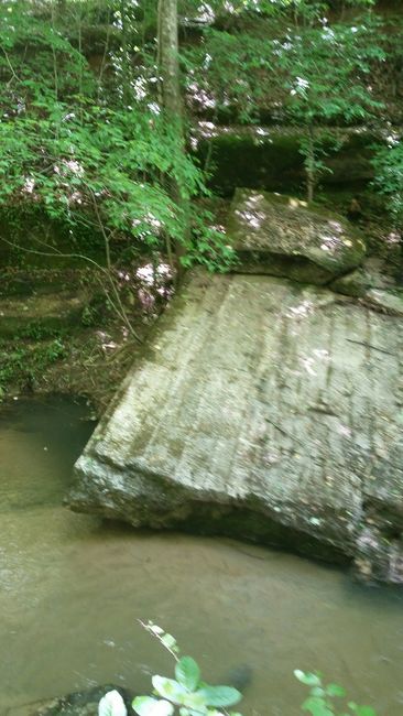 Dam1