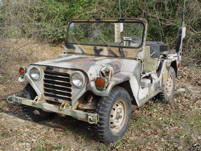 Ford_Mutt2