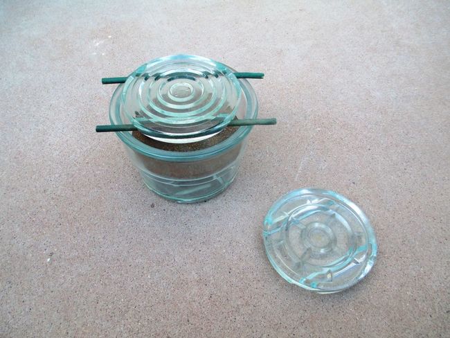 Glasmine_43_assembled