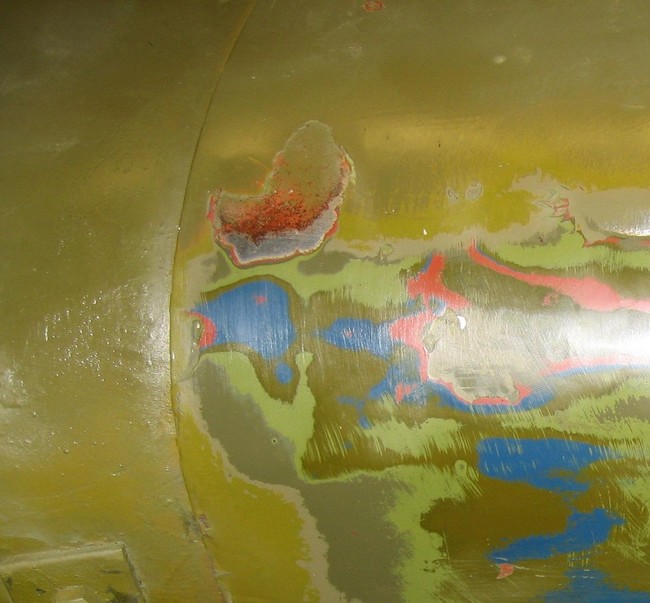 Left side of hood - Nowegian Blue
