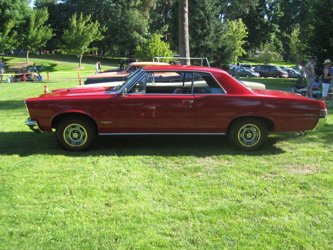 65 GTO