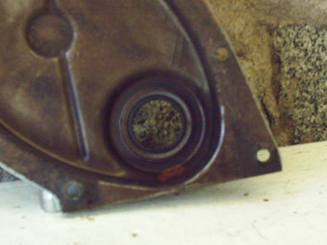 Chain cover inside