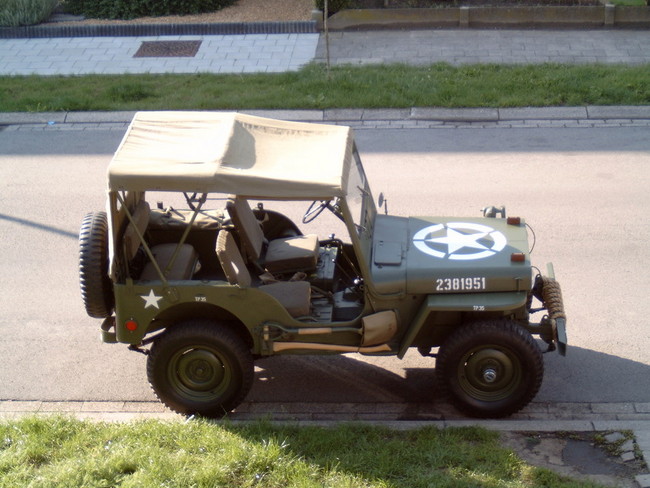 M41000452