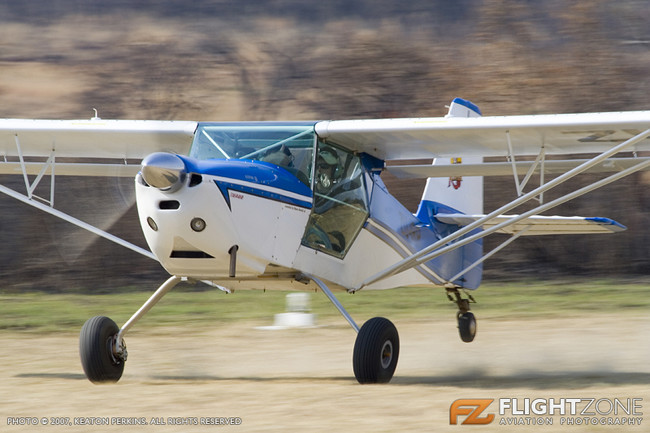 Bush Fly in
