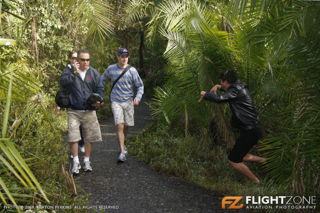 Safari Flyers