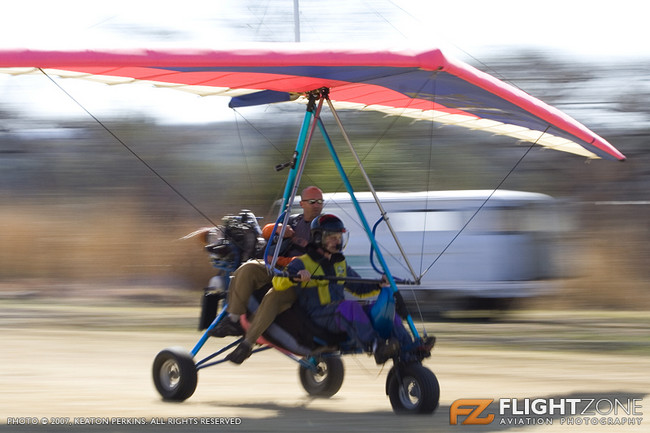 Bush Fly in