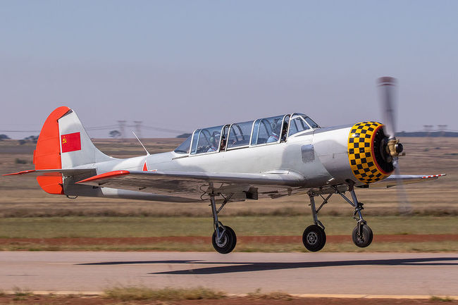 ZU-YAK Yak 52 Rhino Park