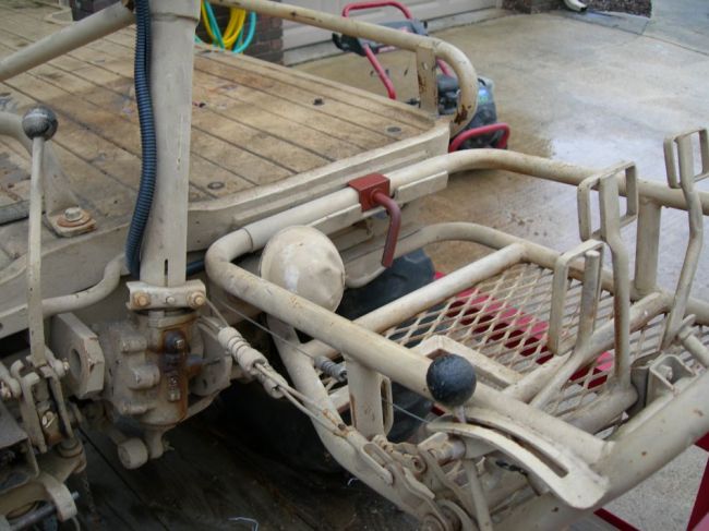 Mule_Photos_007