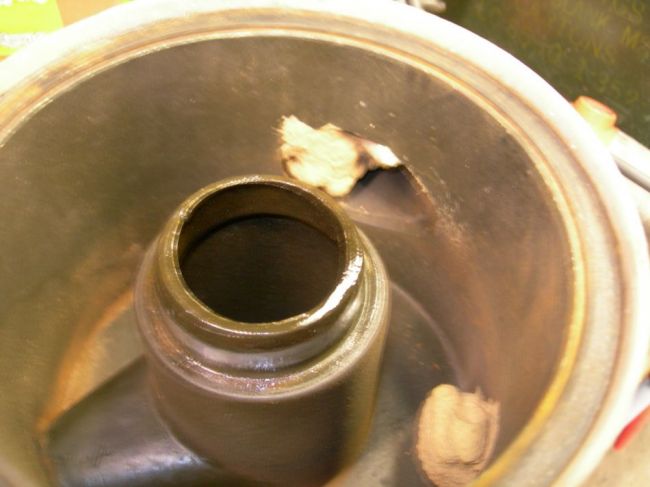 Mule_Photos_027