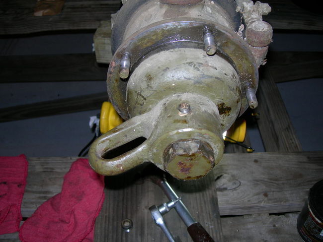 Mule_photos_003