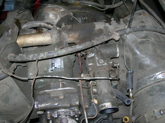 Mule_photos_009