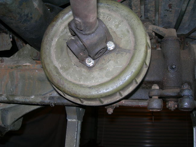 Mule_photos_015