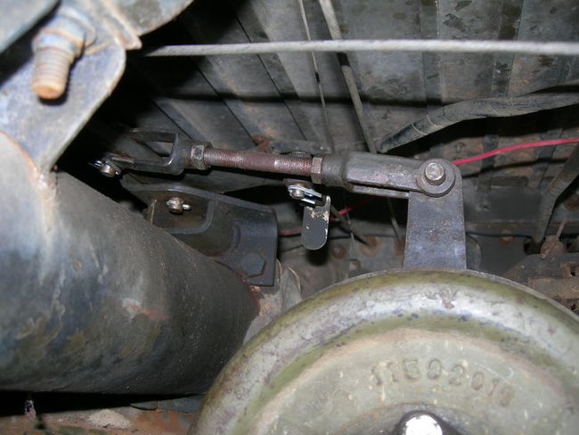 Mule_photos_0161