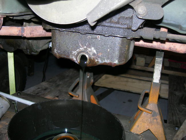 Mule_photos_018