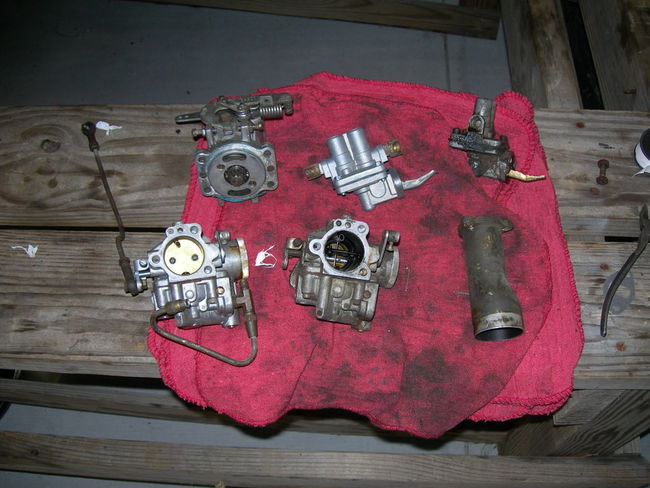 Mule_photos_0271