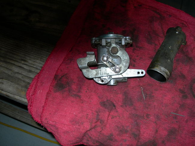 Mule_photos_032