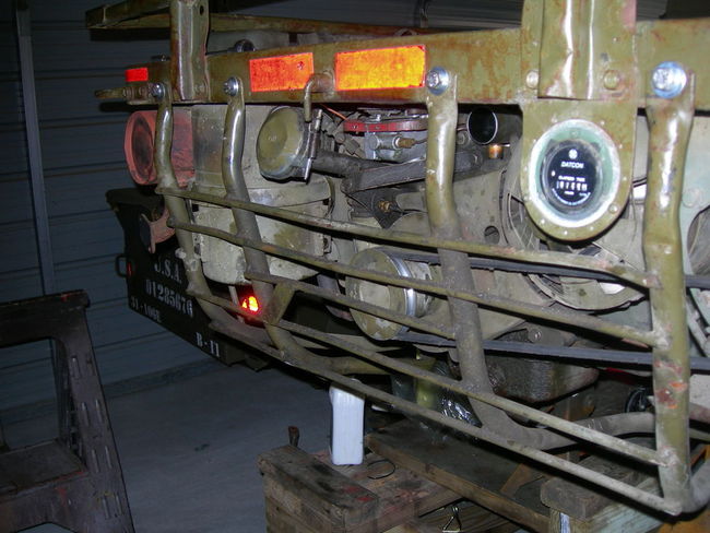 Mule_photos_054