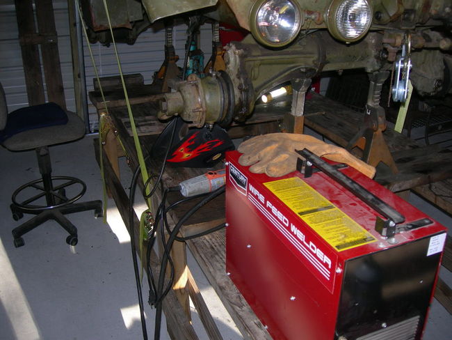 Mule_photos_061