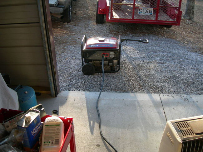 Mule_photos_068