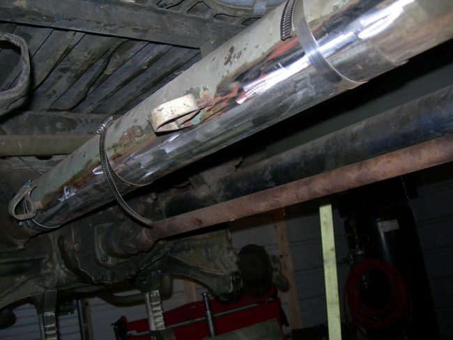 Mule_photos_071