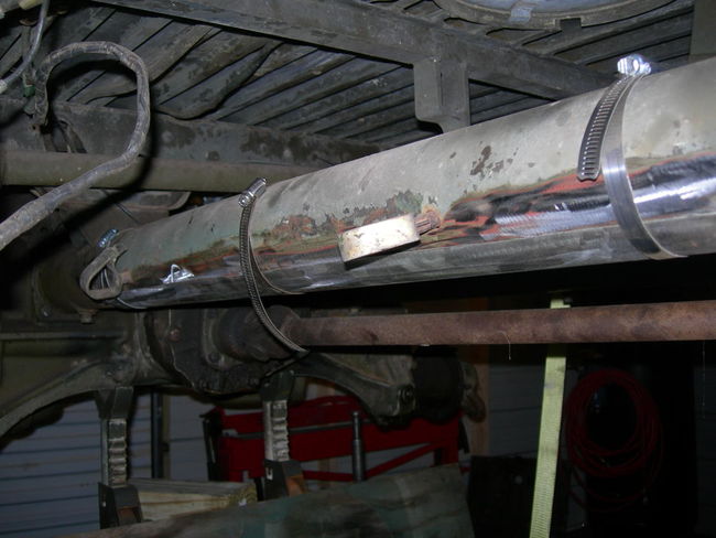 Mule_photos_072