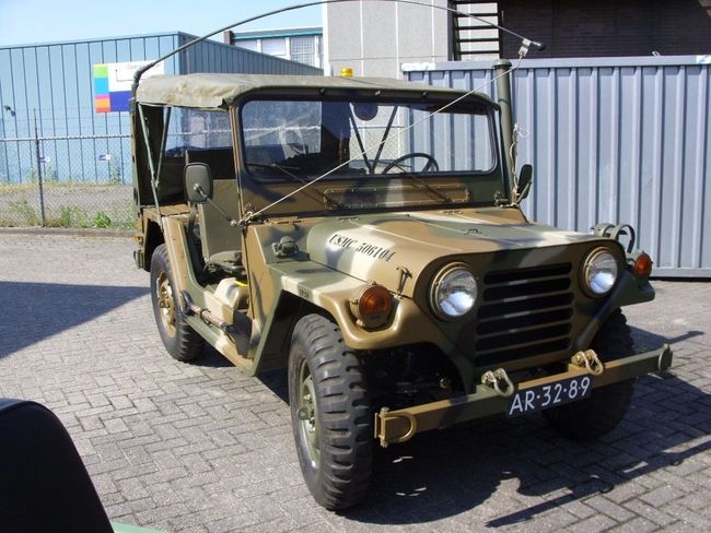 Mutt_resto_0951