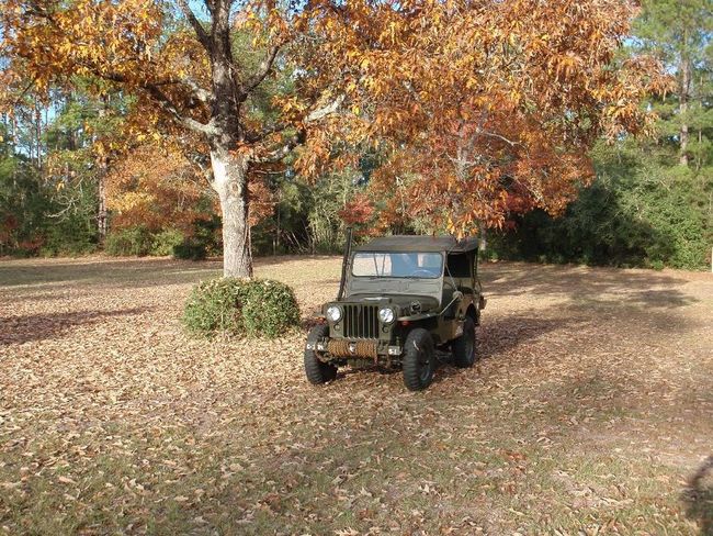 Autumn 2011