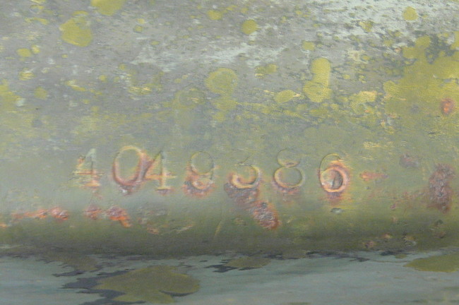 P1000103