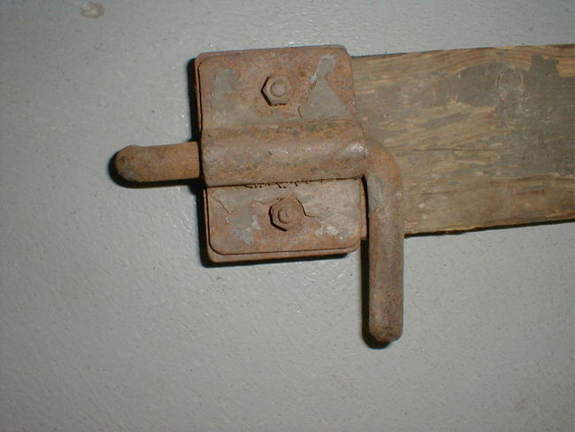 P10101043